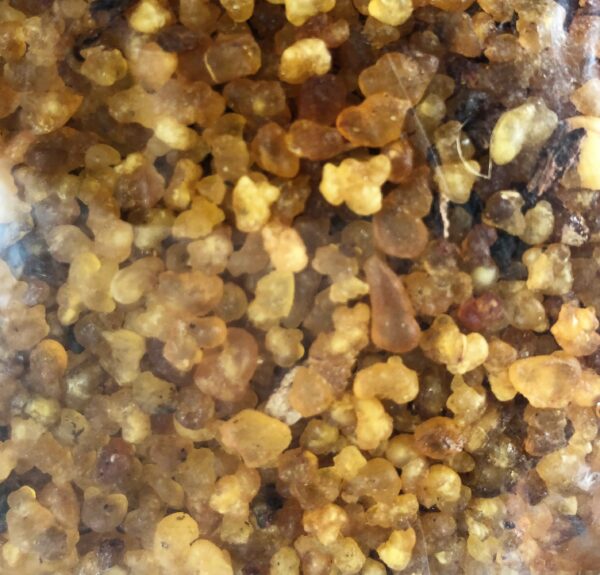 Incenso Jasmin confezione 500gr. art. G.JAS - immagine 2