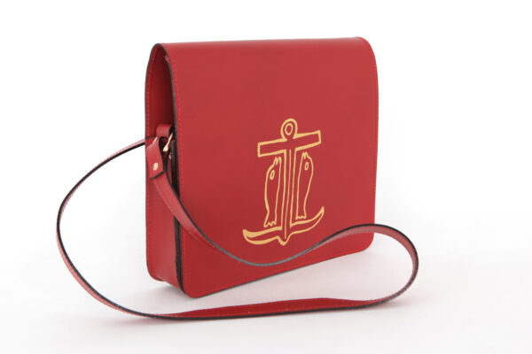 Borsa porta resuscitò art. G.DM526 - immagine 4